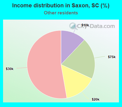 Income distribution in Saxon, SC (%)