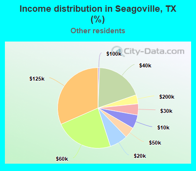 Income distribution in Seagoville, TX (%)