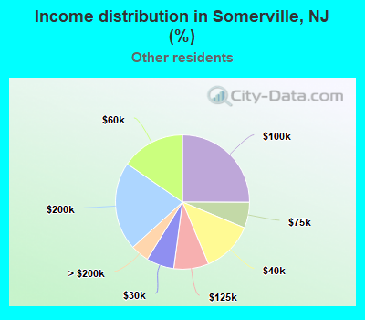 Income distribution in Somerville, NJ (%)