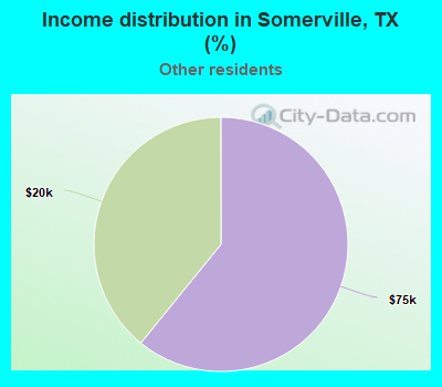 Income distribution in Somerville, TX (%)