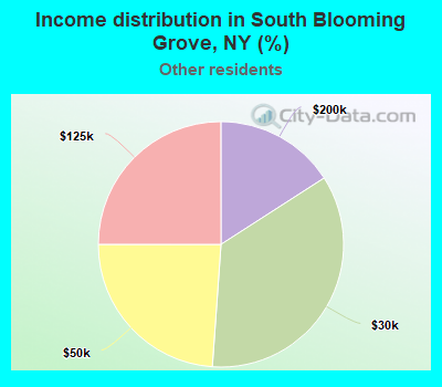Income distribution in South Blooming Grove, NY (%)