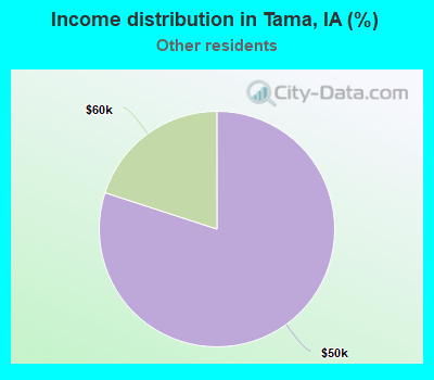 Income distribution in Tama, IA (%)