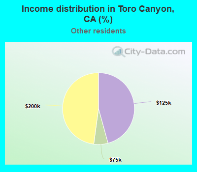 Income distribution in Toro Canyon, CA (%)