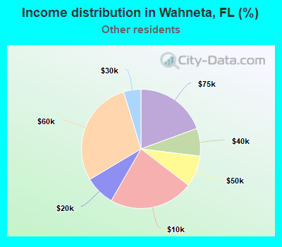 Income distribution in Wahneta, FL (%)