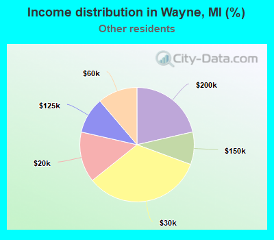 Income distribution in Wayne, MI (%)