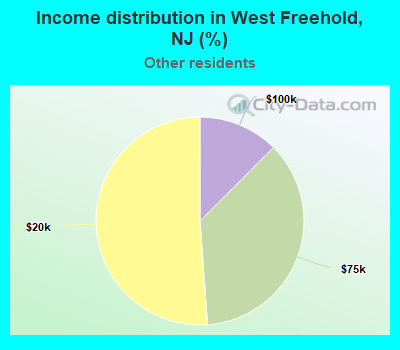 Income distribution in West Freehold, NJ (%)