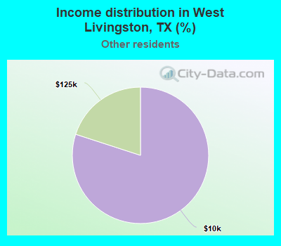 Income distribution in West Livingston, TX (%)