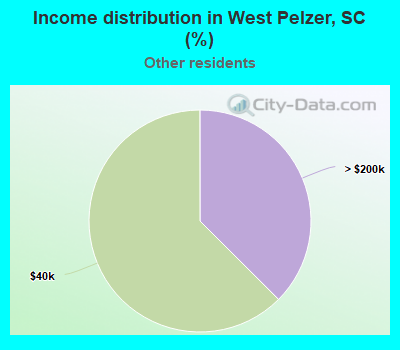 Income distribution in West Pelzer, SC (%)