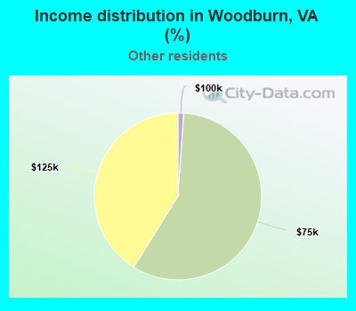 Income distribution in Woodburn, VA (%)