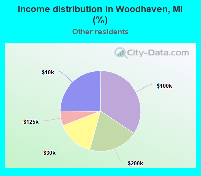 Income distribution in Woodhaven, MI (%)