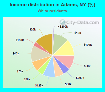 Income distribution in Adams, NY (%)