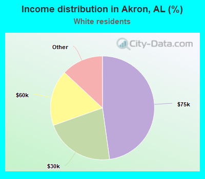 Income distribution in Akron, AL (%)