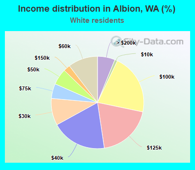 Income distribution in Albion, WA (%)
