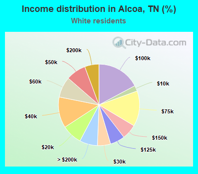 Income distribution in Alcoa, TN (%)