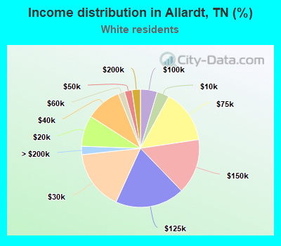 Income distribution in Allardt, TN (%)