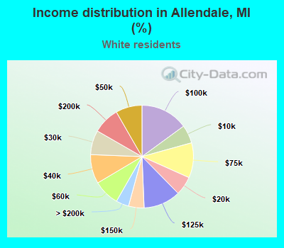 Income distribution in Allendale, MI (%)