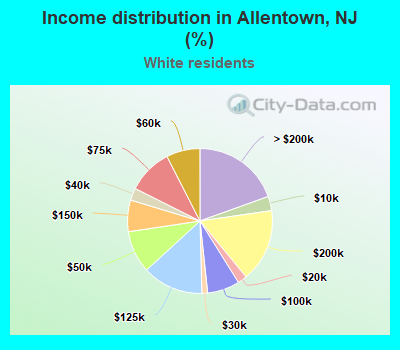 Income distribution in Allentown, NJ (%)