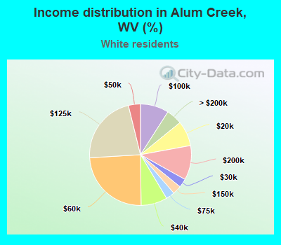 Income distribution in Alum Creek, WV (%)