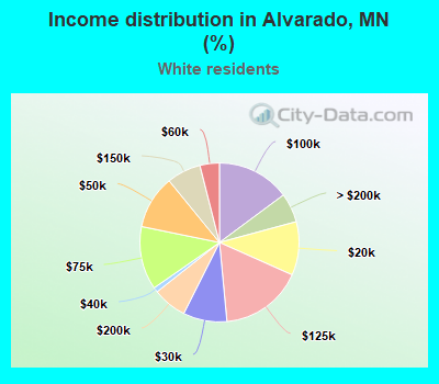 Income distribution in Alvarado, MN (%)