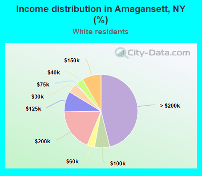 Income distribution in Amagansett, NY (%)