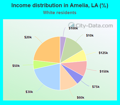 Income distribution in Amelia, LA (%)