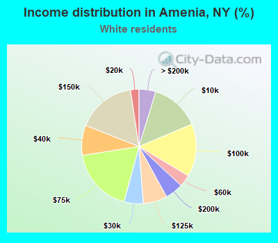 Income distribution in Amenia, NY (%)