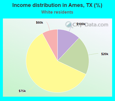 Income distribution in Ames, TX (%)