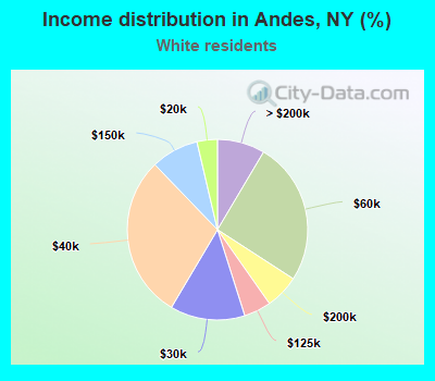 Income distribution in Andes, NY (%)