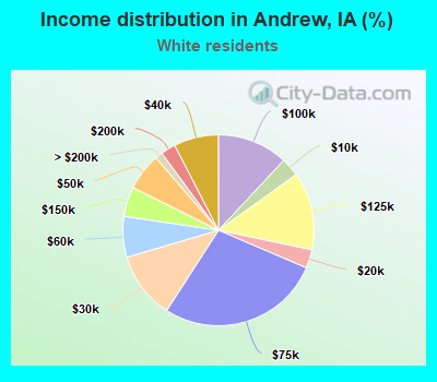 Income distribution in Andrew, IA (%)