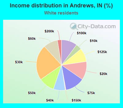 Income distribution in Andrews, IN (%)