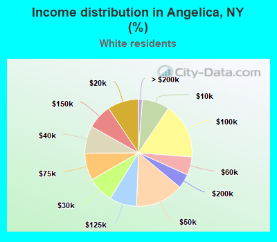 Income distribution in Angelica, NY (%)