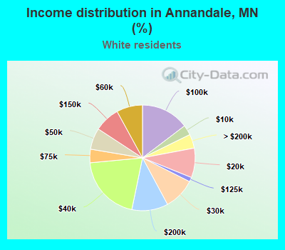 Income distribution in Annandale, MN (%)
