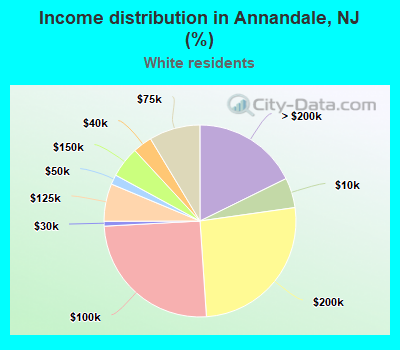 Income distribution in Annandale, NJ (%)