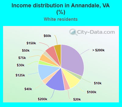 Income distribution in Annandale, VA (%)