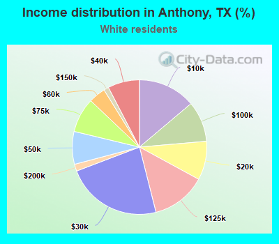 Income distribution in Anthony, TX (%)