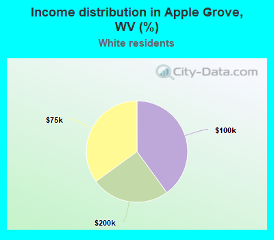 Income distribution in Apple Grove, WV (%)