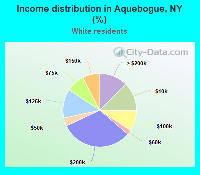 Income distribution in Aquebogue, NY (%)