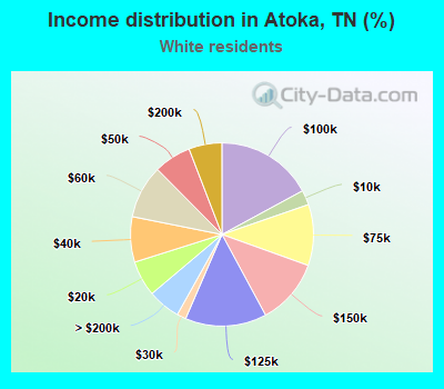 Income distribution in Atoka, TN (%)