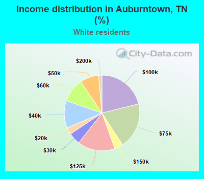 Income distribution in Auburntown, TN (%)