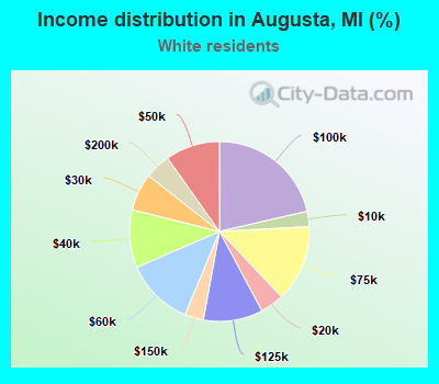 Income distribution in Augusta, MI (%)