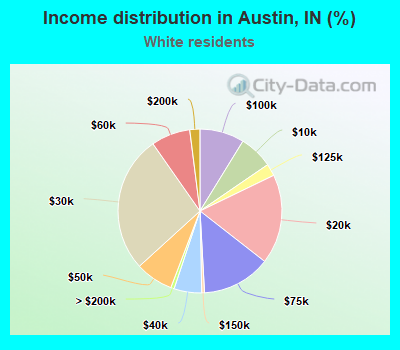 Income distribution in Austin, IN (%)