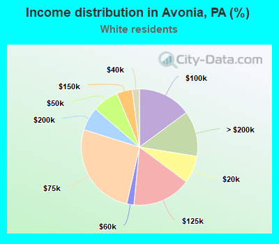 Income distribution in Avonia, PA (%)