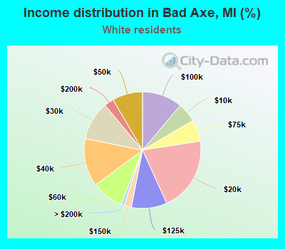 Income distribution in Bad Axe, MI (%)