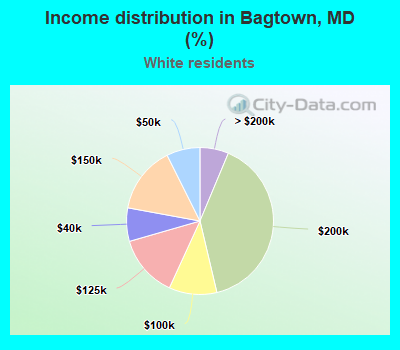 Income distribution in Bagtown, MD (%)