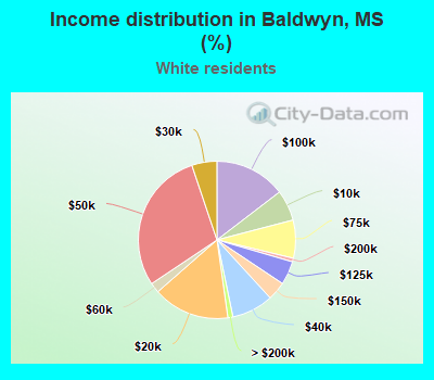 Income distribution in Baldwyn, MS (%)