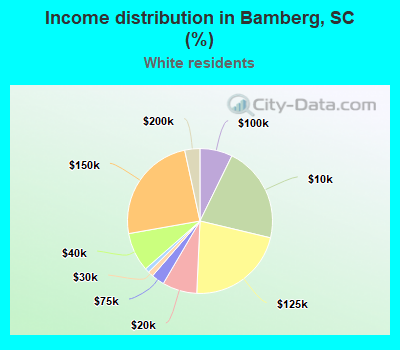 Income distribution in Bamberg, SC (%)