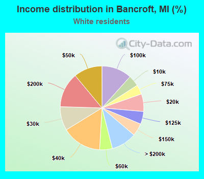 Income distribution in Bancroft, MI (%)