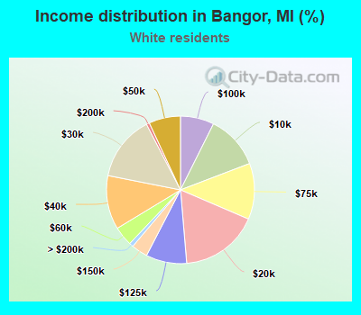 Income distribution in Bangor, MI (%)