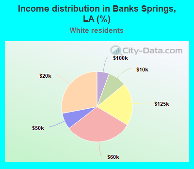 Income distribution in Banks Springs, LA (%)