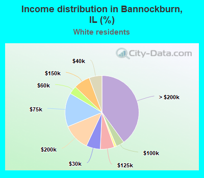 Income distribution in Bannockburn, IL (%)